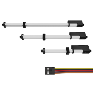 T16-P